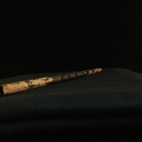 IMG_8845.JPG