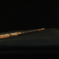 IMG_8846.JPG