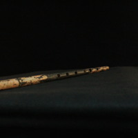 IMG_8847.JPG