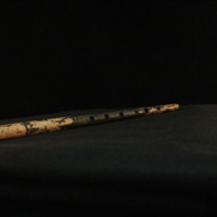 IMG_8848.JPG