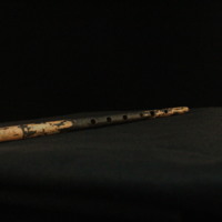 IMG_8849.JPG