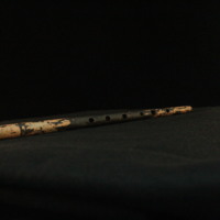 IMG_8850.JPG
