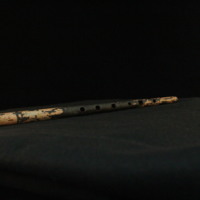 IMG_8851.JPG