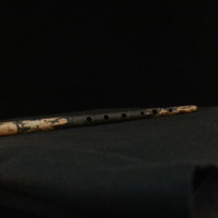 IMG_8852.JPG