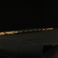 IMG_8853.JPG