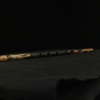 IMG_8854.JPG