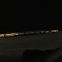 IMG_8855.JPG