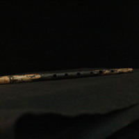 IMG_8856.JPG
