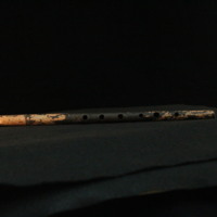 IMG_8860.JPG