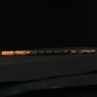 IMG_8861.JPG