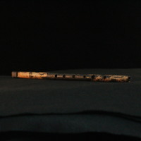 IMG_8864.JPG