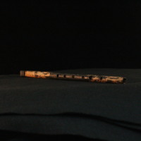 IMG_8865.JPG