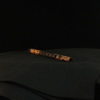 IMG_8869.JPG