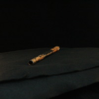 IMG_8875.JPG