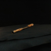 IMG_8876.JPG