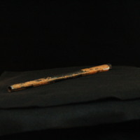 IMG_8879.JPG