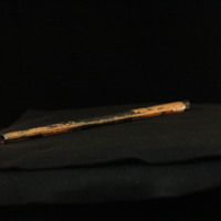 IMG_8880.JPG