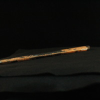IMG_8881.JPG