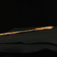 IMG_8882.JPG