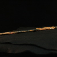 IMG_8884.JPG