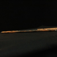 IMG_8890.JPG