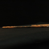 IMG_8891.JPG