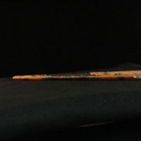 IMG_8892.JPG