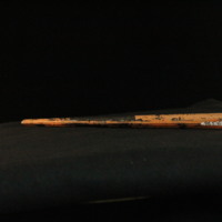 IMG_8893.JPG