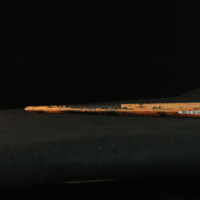 IMG_8894.JPG