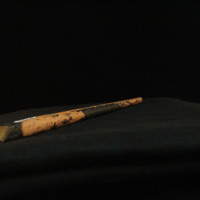 IMG_8911.JPG