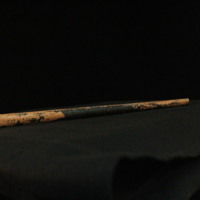 IMG_8919.JPG