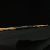 IMG_8920.JPG