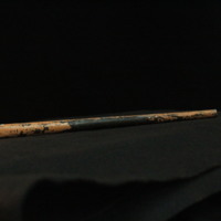 IMG_8921.JPG