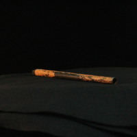 IMG_8931.JPG