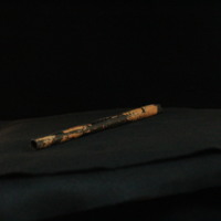 IMG_8941.JPG