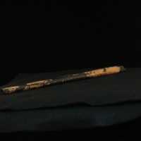 IMG_8943.JPG