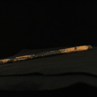 IMG_8944.JPG