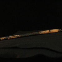 IMG_8945.JPG