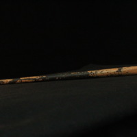 IMG_8950.JPG