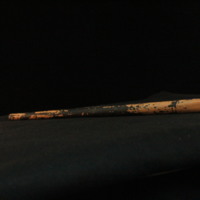 IMG_8952.JPG