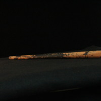 IMG_8953.JPG