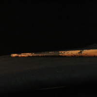 IMG_8954.JPG