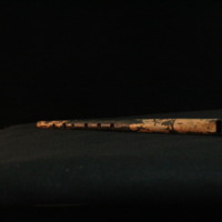 IMG_8957.JPG