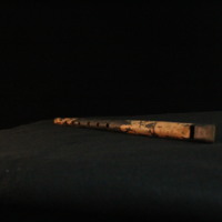 IMG_8959.JPG
