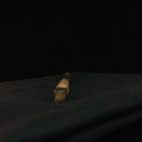 IMG_8966.JPG