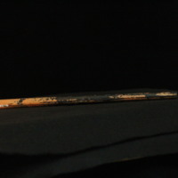 IMG_8983.JPG