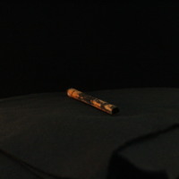 IMG_8993.JPG