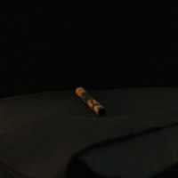 IMG_8994.JPG