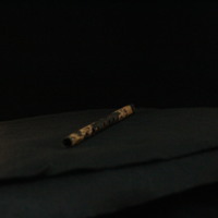 IMG_8997.JPG