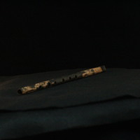 IMG_8999.JPG